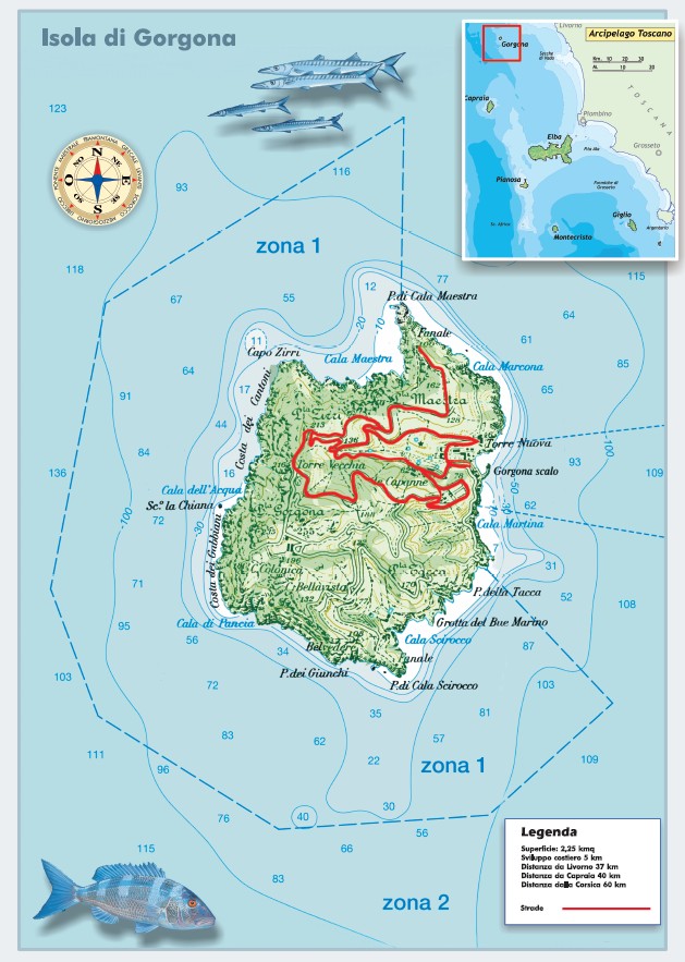 Mappa gorgona