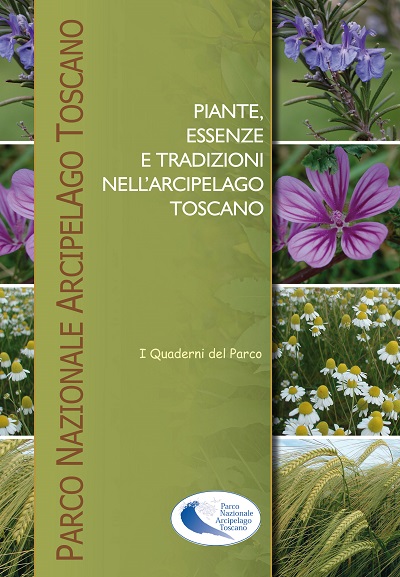 piante medicinali COVER
