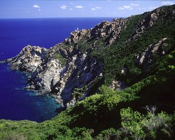 Punta Cala Maestra Gorgona