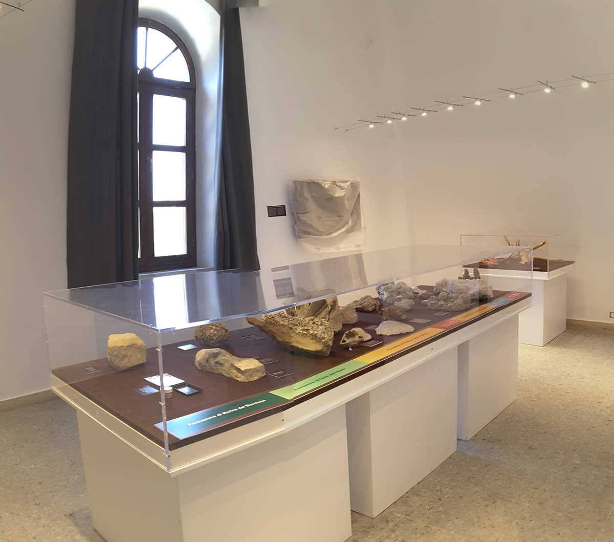museo scienze pianosa