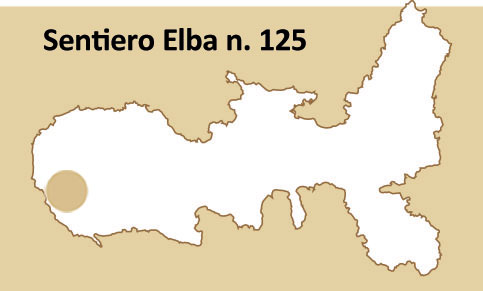 icona mappa 125