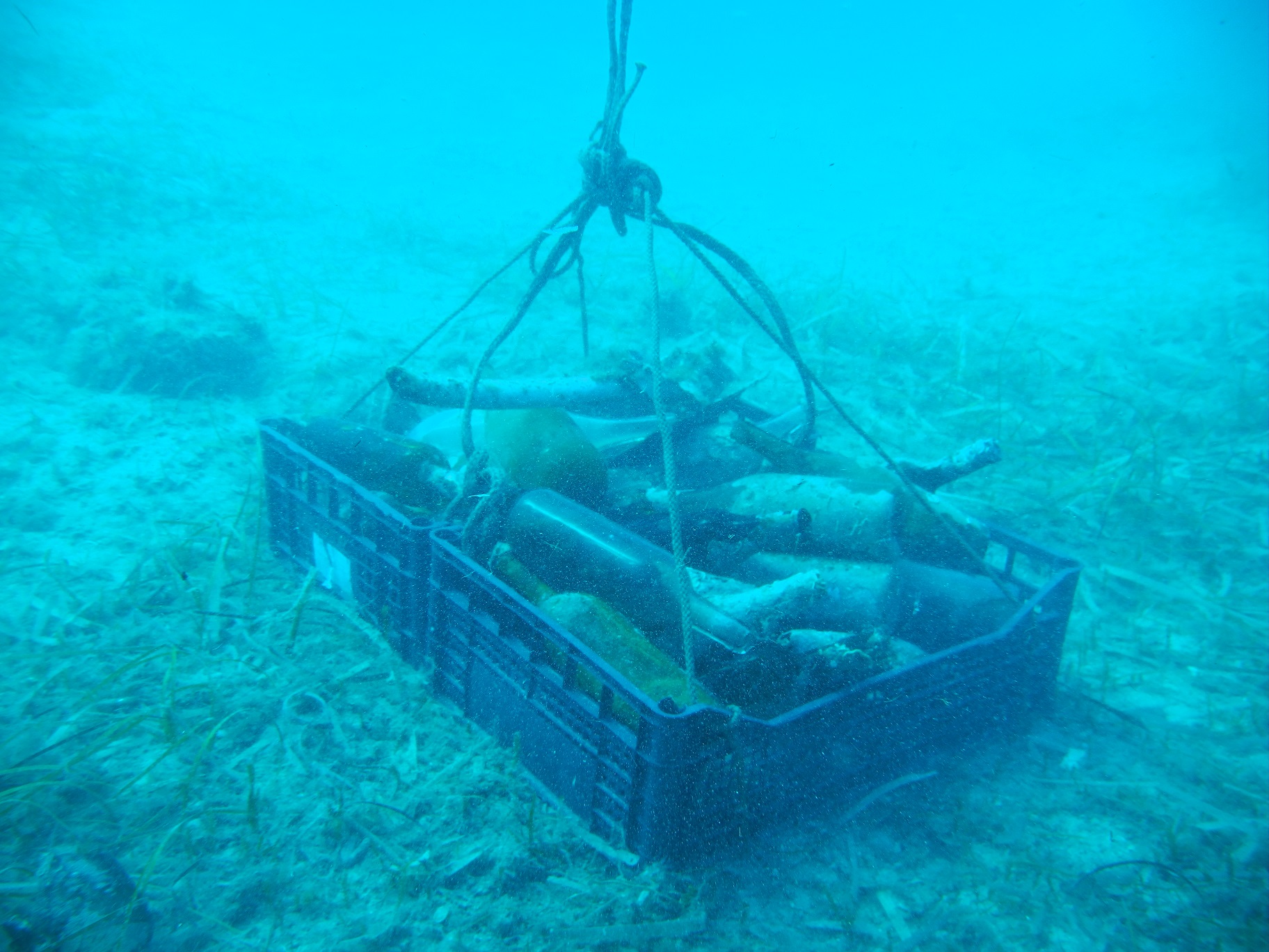Isola di Giannutri, sub volontari puliscono i fondali grazie al Progetto GIREPAM