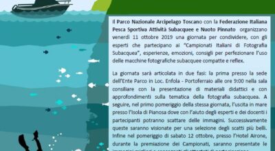 Progetto NEPTUNE : PatrimoNio naturalE e culTUrale sommerso e gestione sosteNibile della subacquEa ricreativa