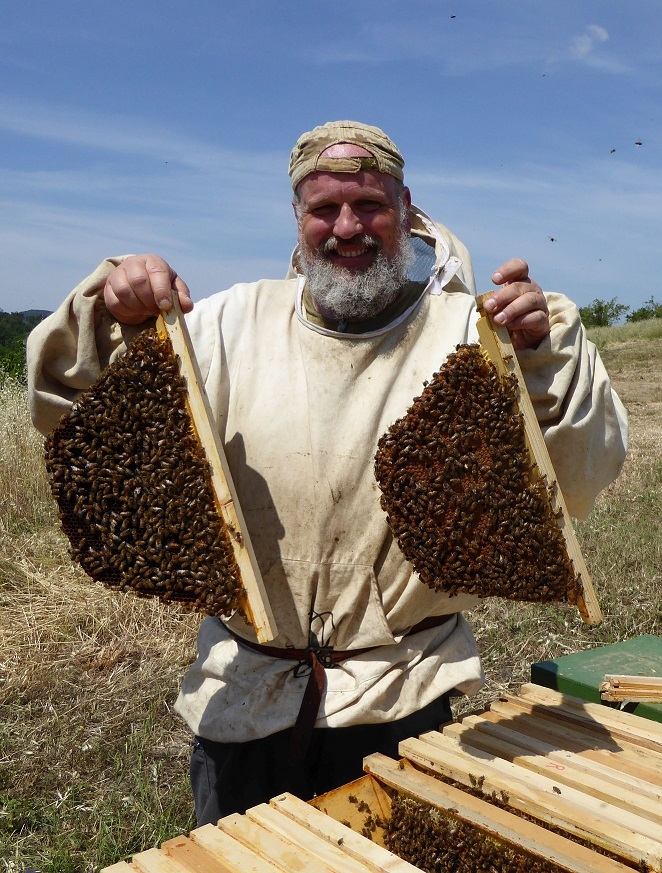 La Natura delle api (conferenza on-line di Paolo Fontana, WBA)