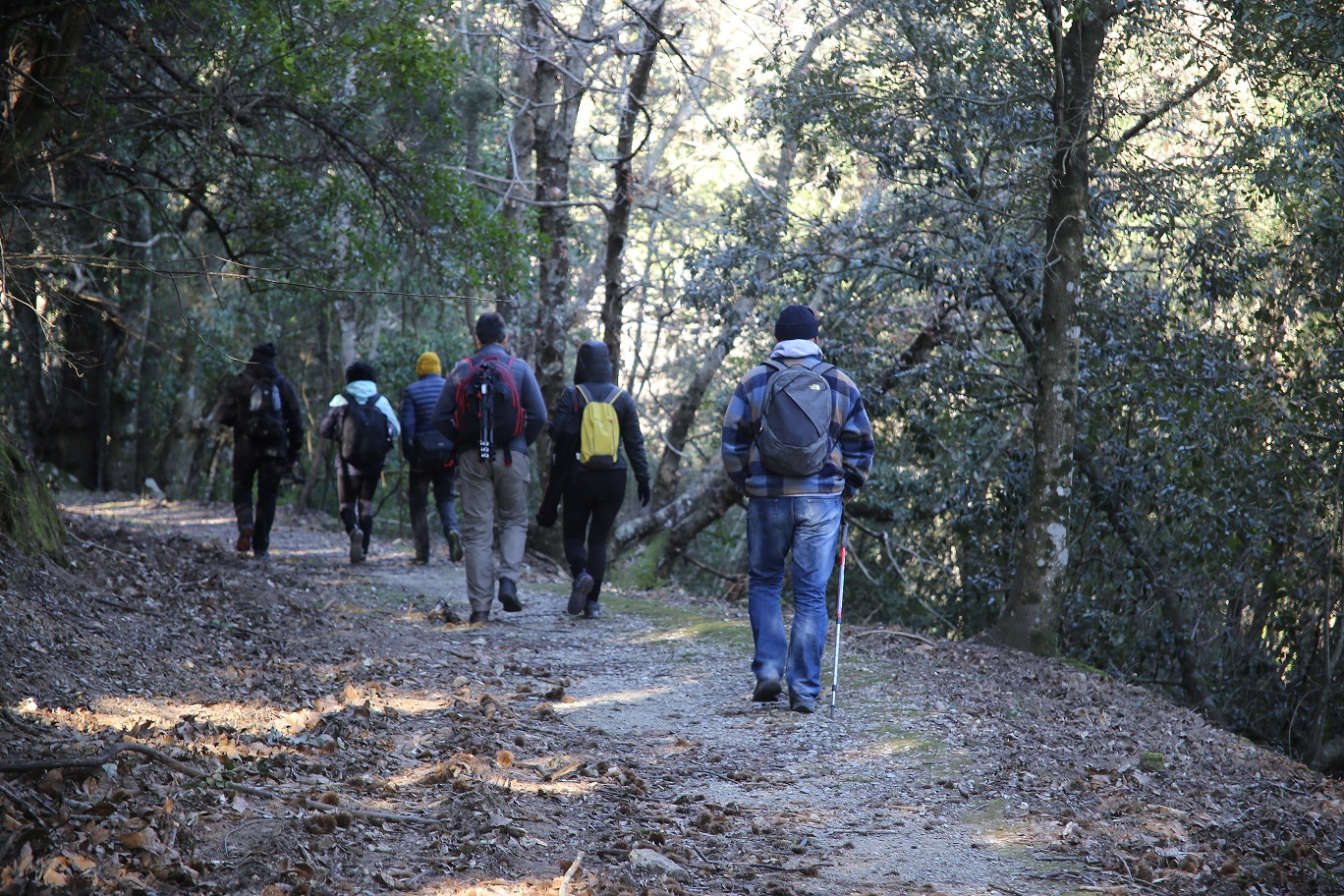 Gli interventi del Parco nel Comune di Marciana per il contenimento degli ungulati