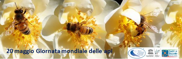 Giornata mondiale delle api: Il valore dell’Apicoltura (conferenza online di WBA)