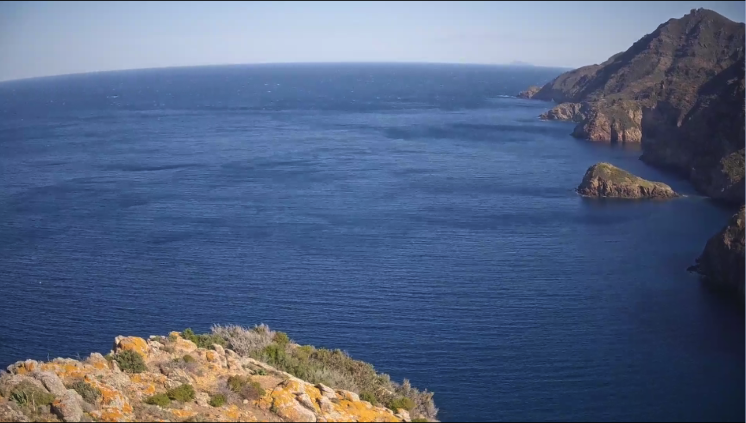 Potenziate le telecamere della video sorveglianza a Capraia Isola