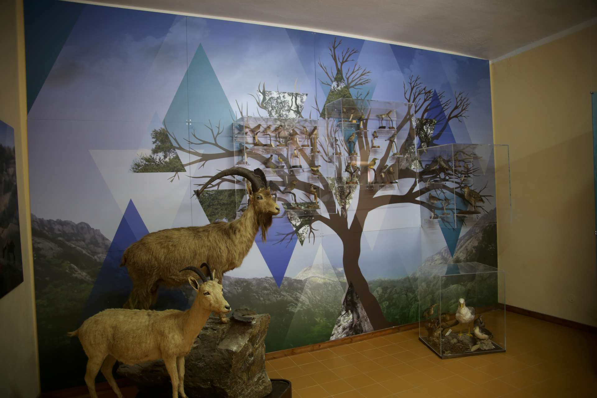 Museo Naturalistico e Collezione floristica (Isola di Montecristo)