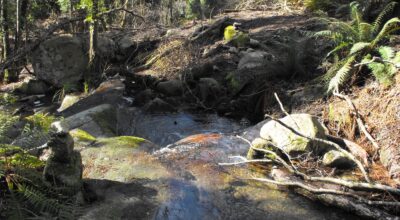 Il Progetto del Parco Nazionale per la messa in sicurezza del Fosso di Pomonte