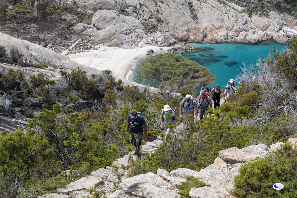 Percorso B – Isola di Montecristo