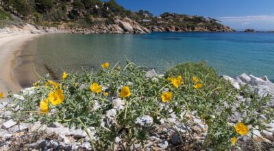 Primavera nel Parco Nazionale Arcipelago Toscano – Isola del Giglio 2025