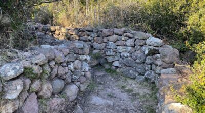 Capraia i primi interventi di riqualificazione dei muretti a secco
