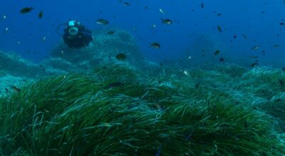 Al via il progetto Neptune Evolution