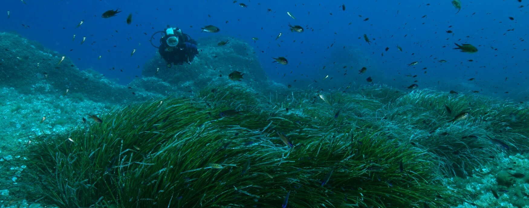 Al via il progetto Neptune Evolution