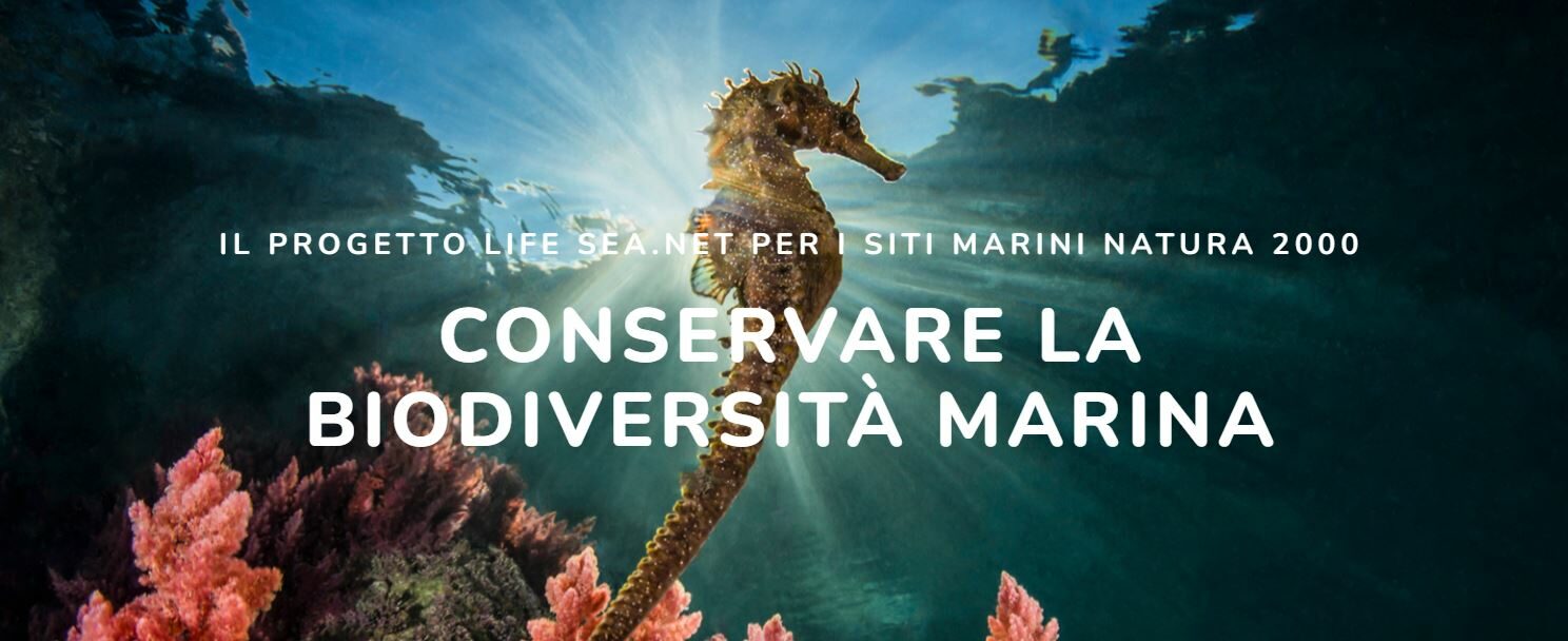 Progetto LIFE SEANET tutto il programma degli appuntamenti 2025