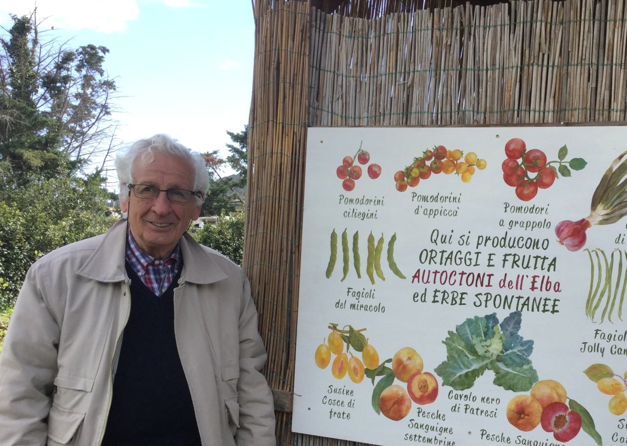 In memoria del Prof. Agostino Stefani