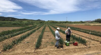 La nascita della Banca del Germoplasma dell’Arcipelago Toscano- 15 maggio al CEA di Lacona