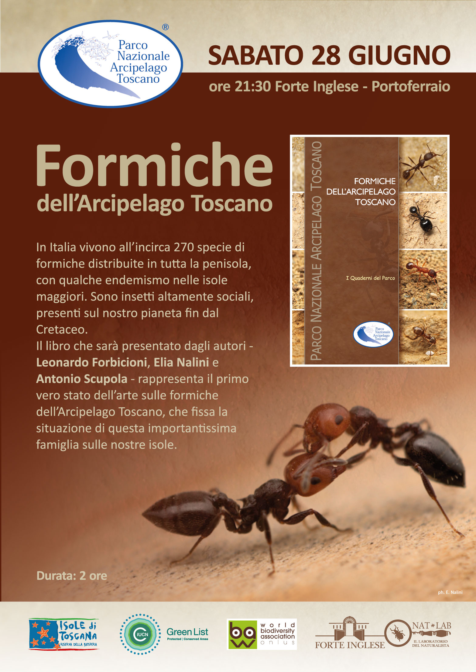 locandina libro formiche 