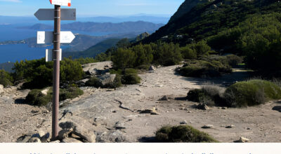 “In Cammino nei Parchi 2025”:  escursioni, didattica e natura per conoscere i territori attraverso i sentieri
