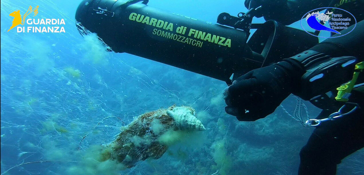 Campagna di riqualificazione dei fondali dell’Isola di Giannutri  25 luglio 2025