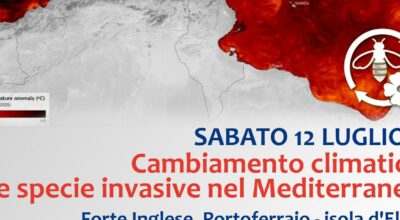 Cambiamento climatico e specie invasive nel Mediterraneo – 12 luglio Forte Inglese