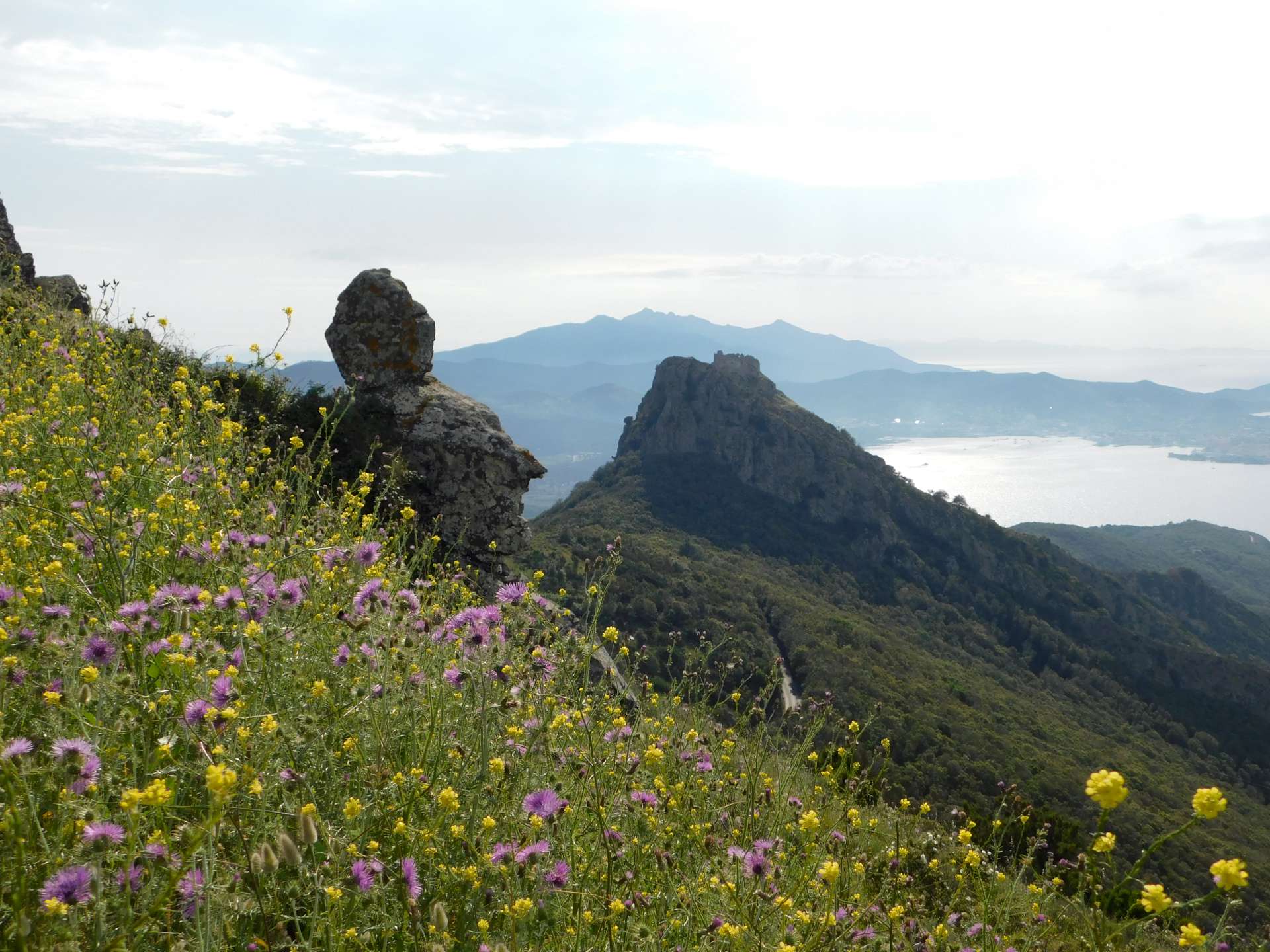 Isola d’Elba