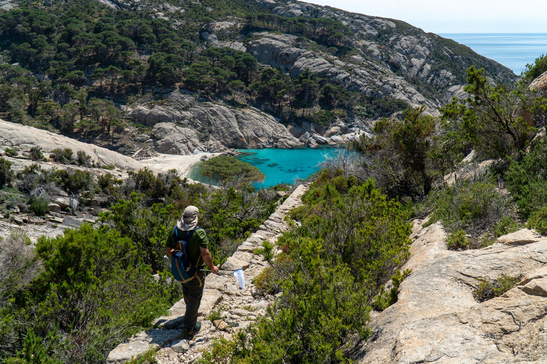 Isola di Montecristo