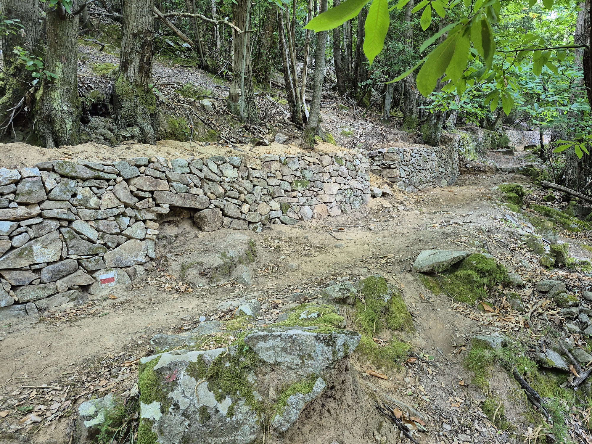 Prosegue all’Isola d’Elba il progetto di riqualificazione dei muretti a secco, simbolo del paesaggio e presidio contro il dissesto