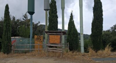 Vandalismo contro il Parco Nazionale: manomessa una bacheca informativa in località Puntale.