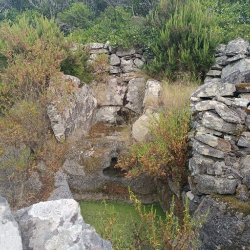 Palmenti della Tigghiella 