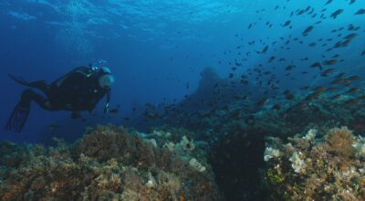 Citizen Science: quando i cittadini diventano protagonisti della ricerca