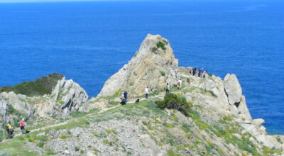 CETS Da Capraia al Giglio all’Elba: tre giorni di confronto per una strategia condivisa
