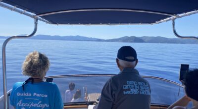 Grande successo per le attività di whale watching organizzate dal Parco Nazionale nei mesi scorsi all’Isola d’Elba