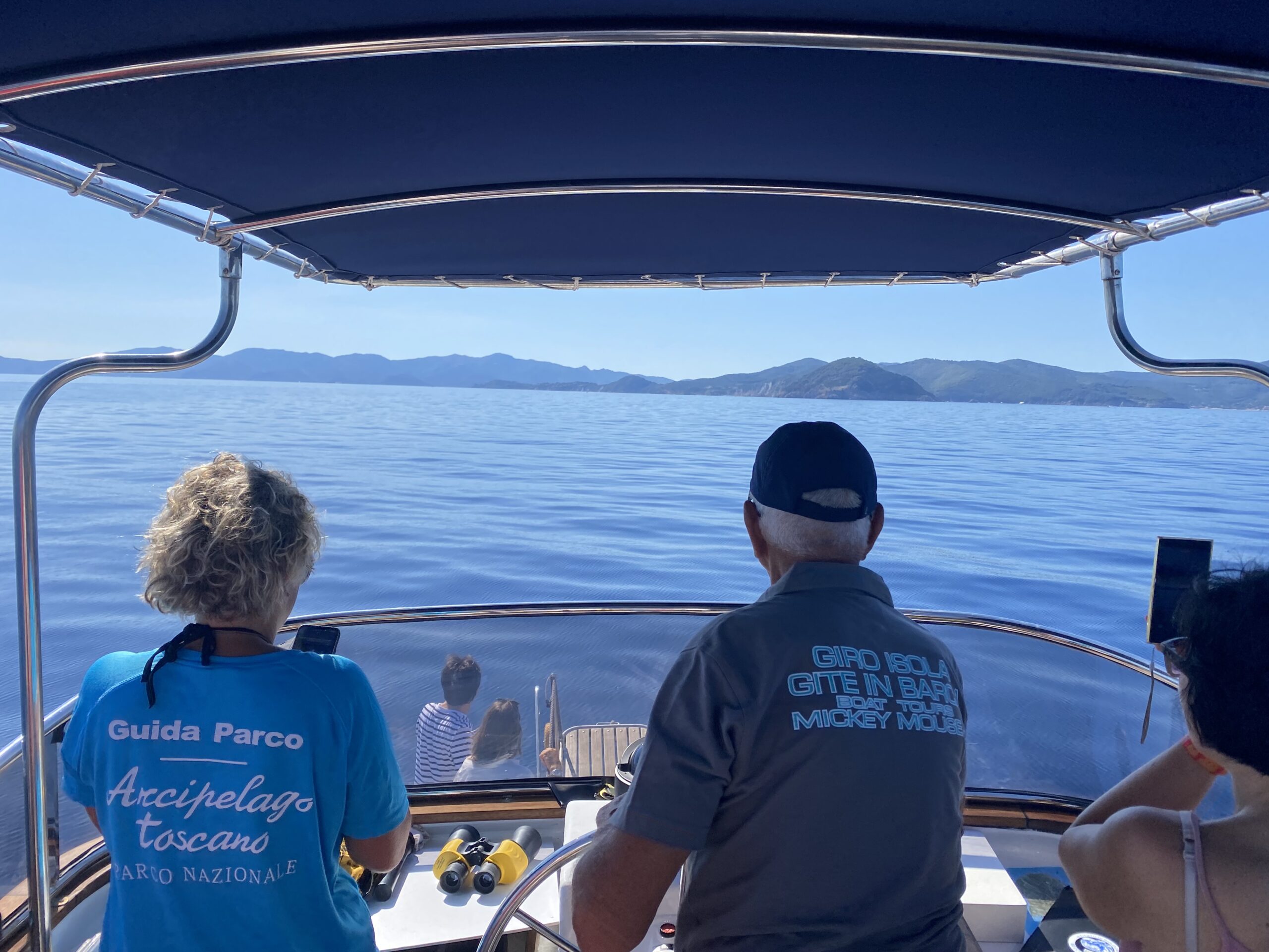 Grande successo per le attività di whale watching organizzate dal Parco Nazionale nei mesi scorsi all’Isola d’Elba