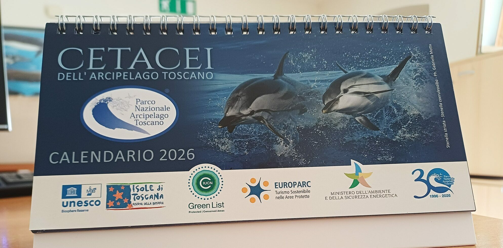 Dedicato ai cetacei dell’Arcipelago Toscano: il nuovo Calendario 2026 del Parco Nazionale