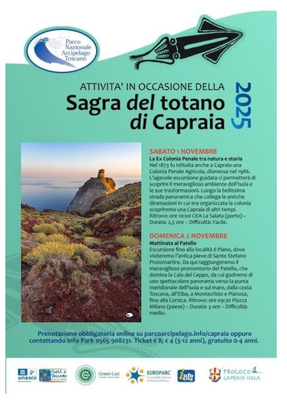 ocandina Sagra Totano Capraia 25