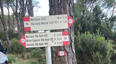 Manutenzione sentieri nel versante occidentale dell’Isola d’Elba