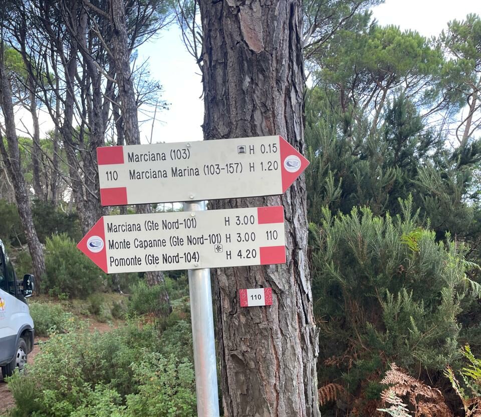 Manutenzione sentieri nel versante occidentale dell’Isola d’Elba