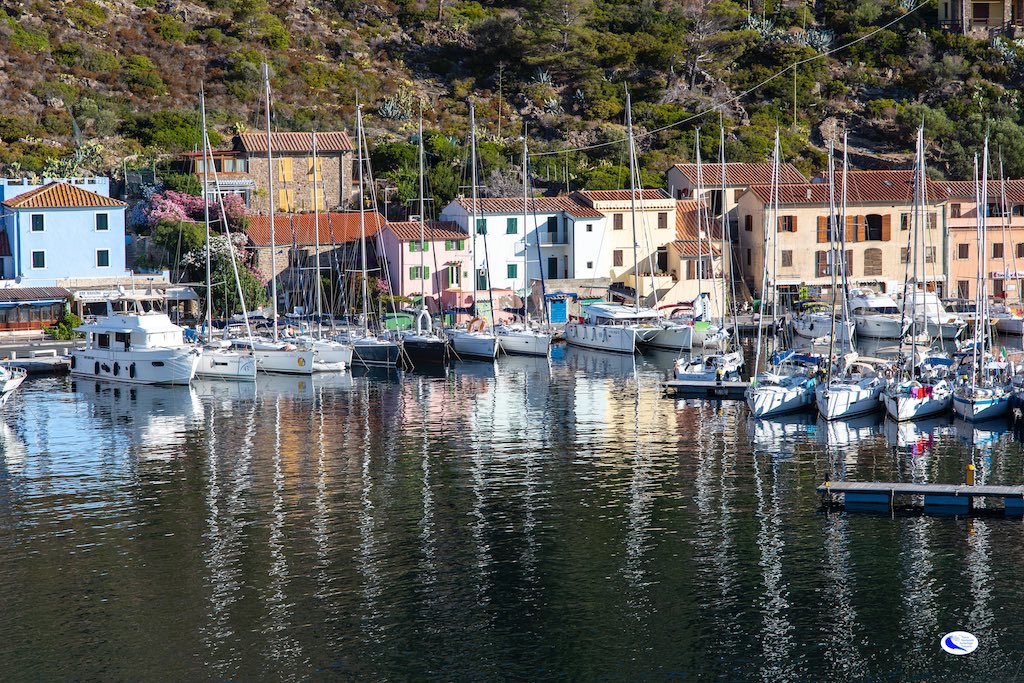 Alla scoperta di Capraia con il Parco: escursioni e natura durante la Sagra del Totano