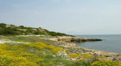 2 Dicembre 2025 | Portoferraio, Isola d’Elba. Un appuntamento dedicato alla protezione degli ecosistemi insulari