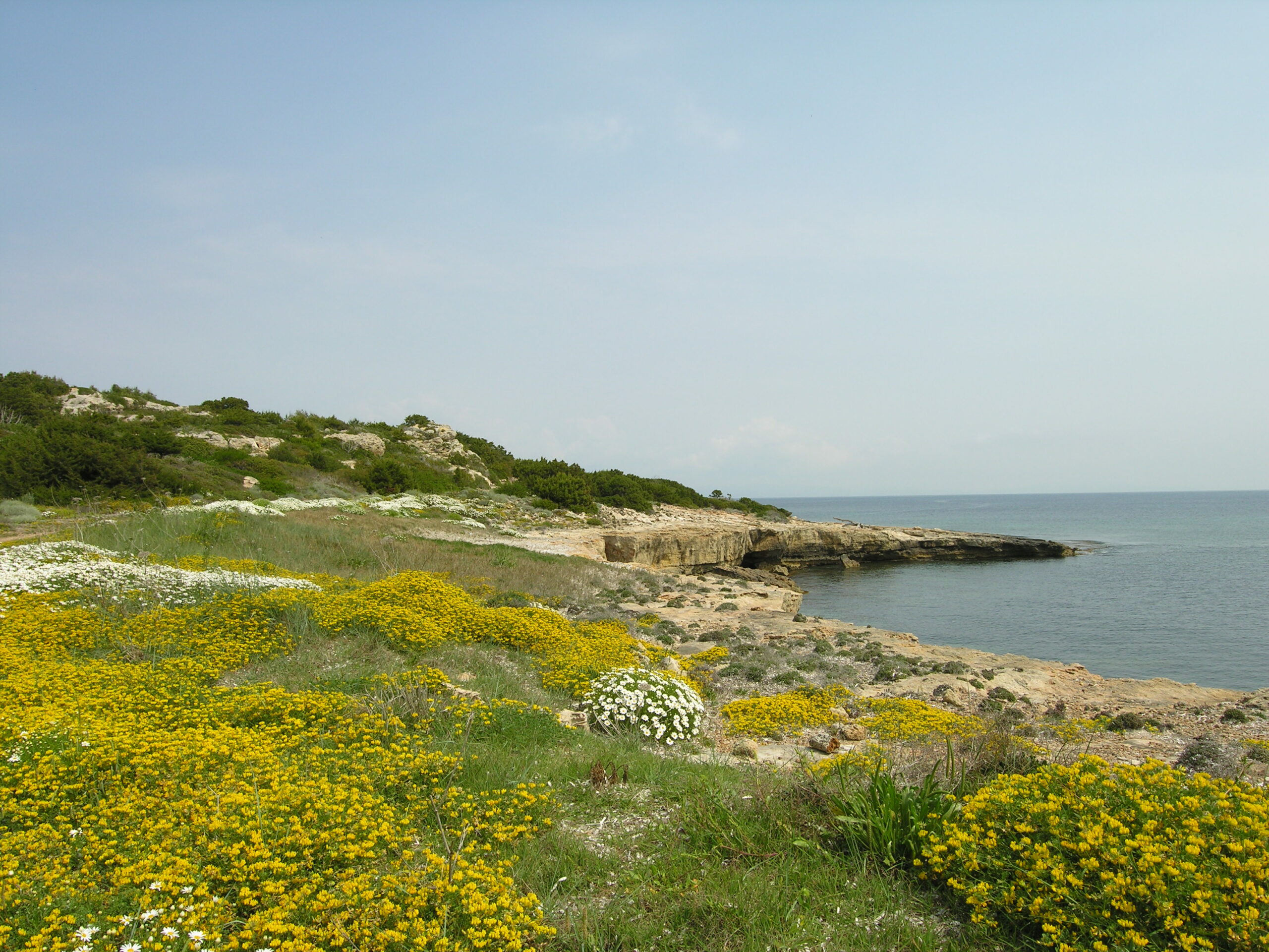 2 Dicembre 2025 | Portoferraio, Isola d’Elba. Un appuntamento dedicato alla protezione degli ecosistemi insulari