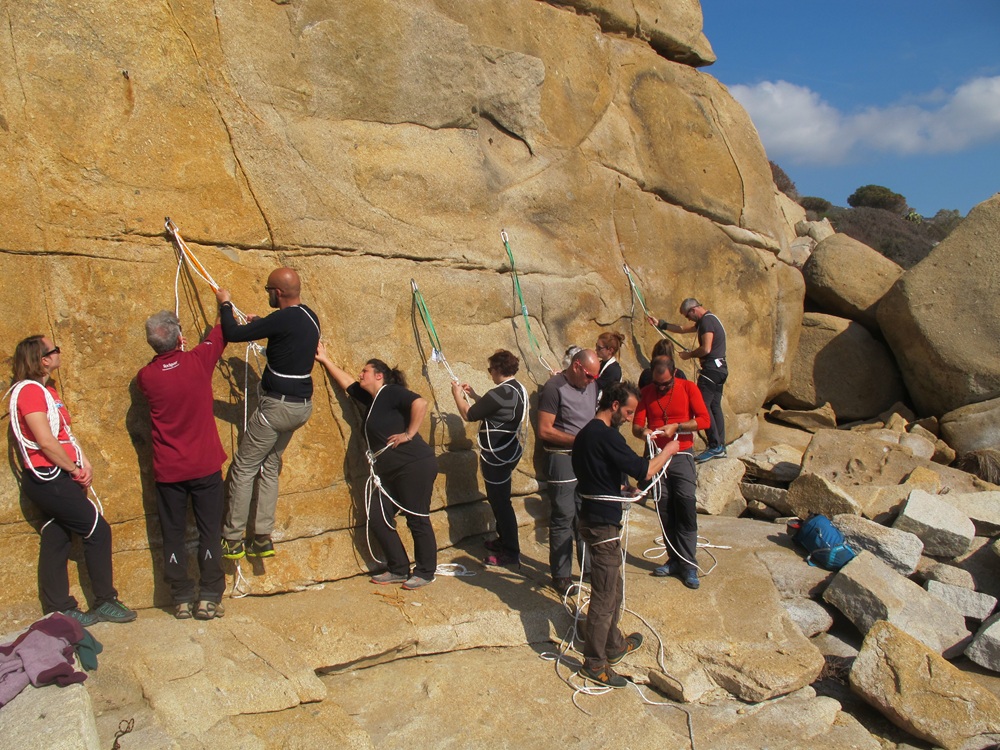 Corso Pangea Cordata