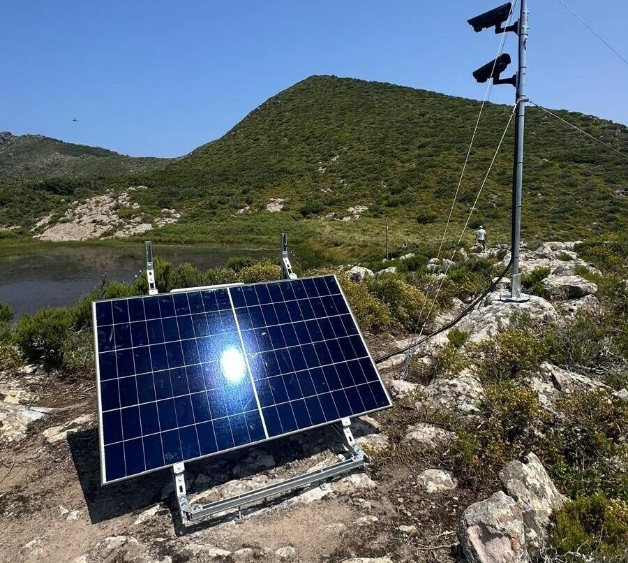 Telecamera_Stagnone a Capraia