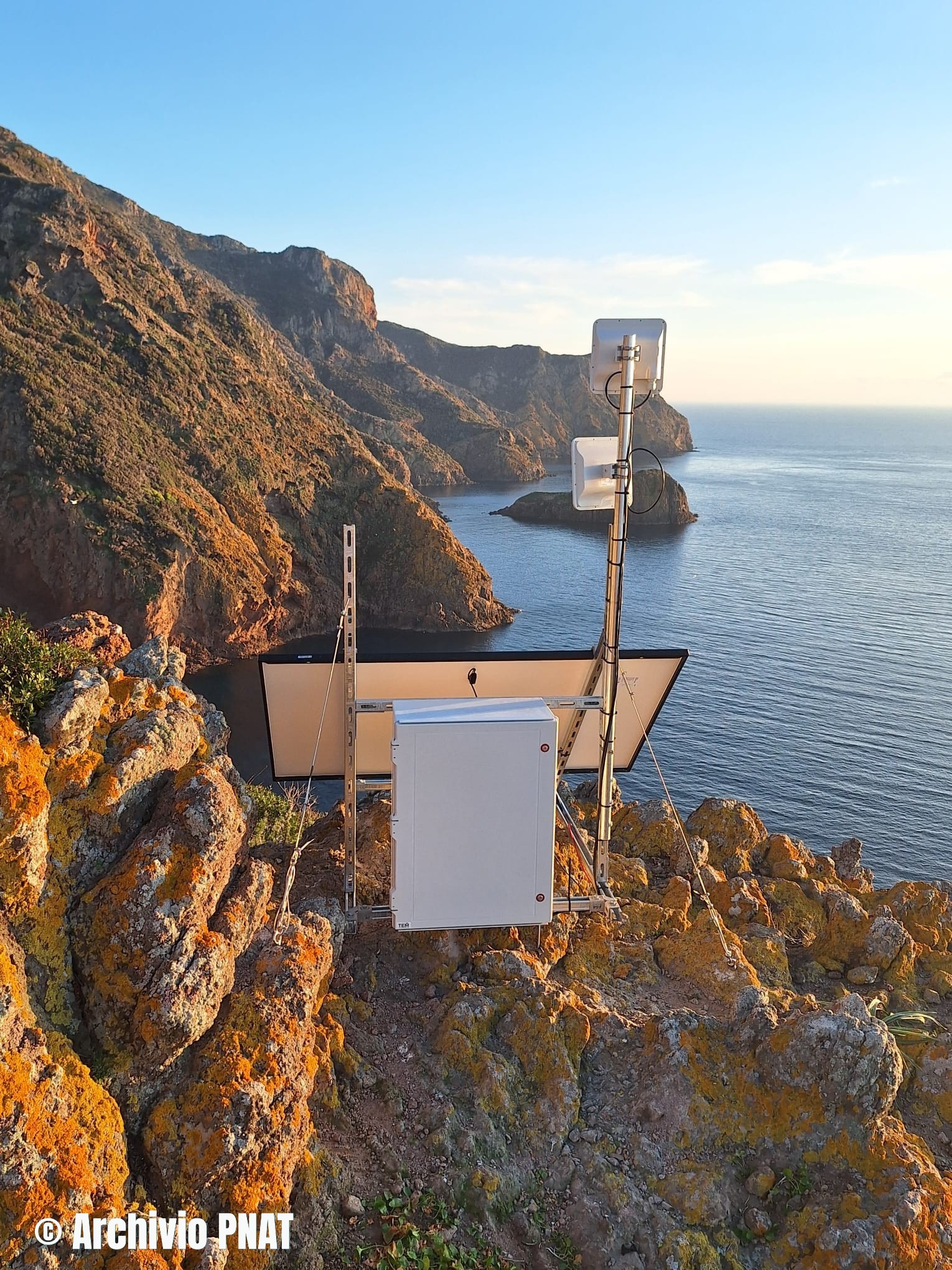 Telecamera_nido_falco pescatore