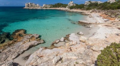 Dai fondali di Pianosa: un laboratorio naturale su geologia ed ecosistemi marini