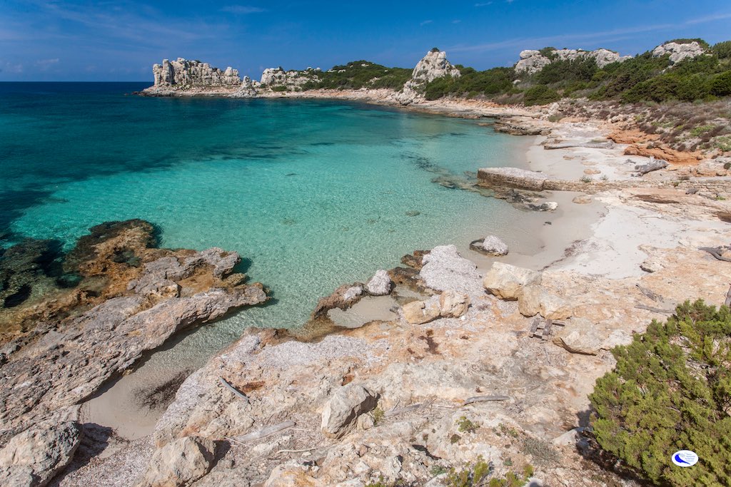 Dai fondali di Pianosa: un laboratorio naturale su geologia ed ecosistemi marini