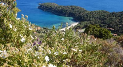 La Via dell’Essenza: il programma di escursioni 2026