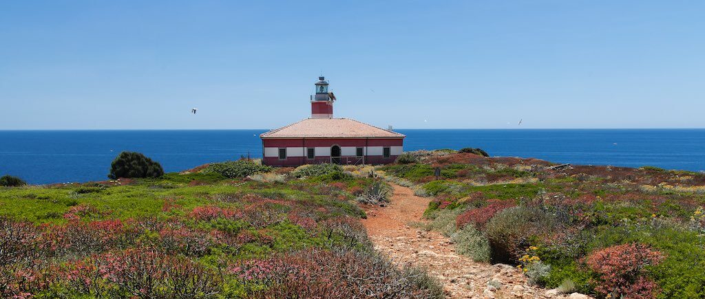 Isola di Giannutri: prenotazioni partenze speciali di primavera con nave esclusiva