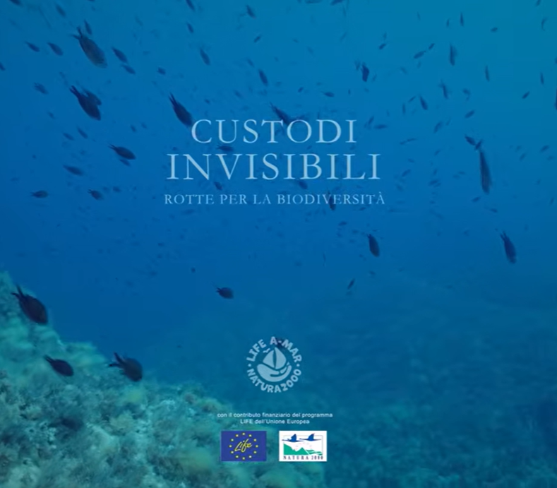 video custodi invisibili cover
