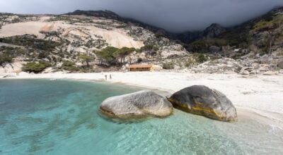 La foca monaca “ascoltata” a Montecristo: la bioacustica conferma una presenza rarissima